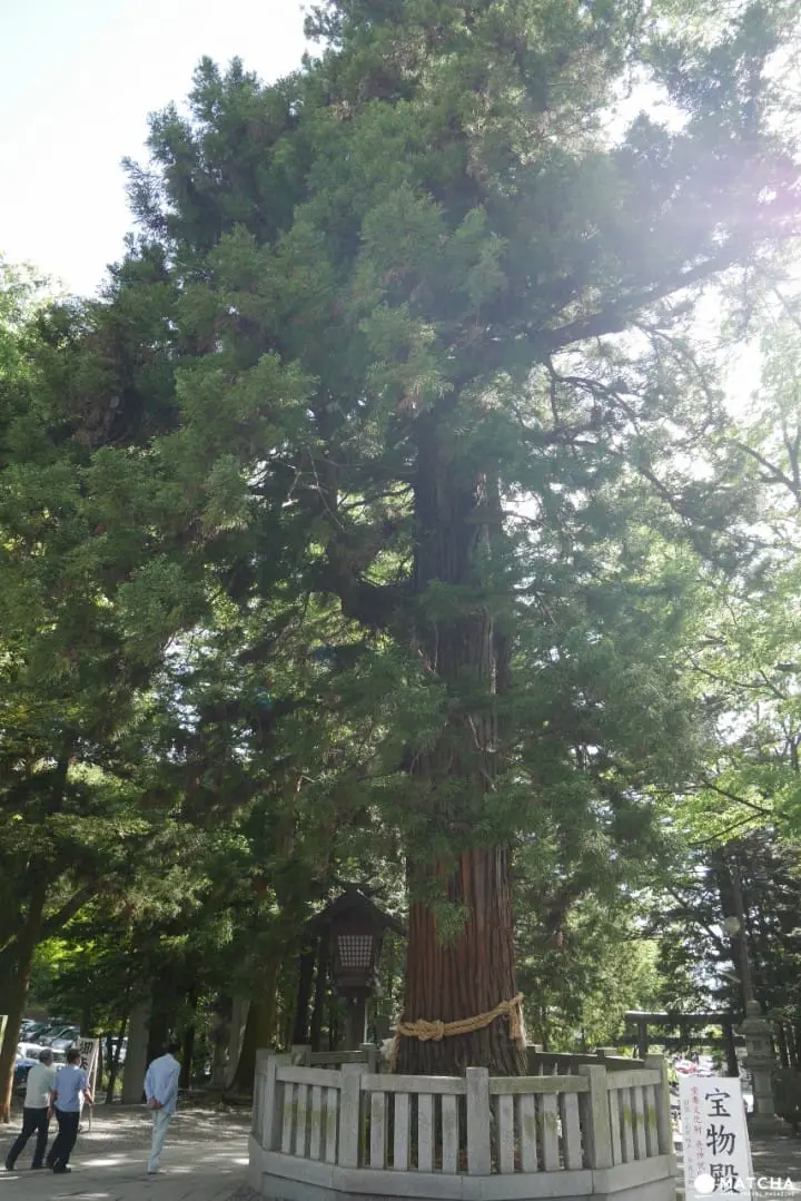 诹访大社下社秋宫