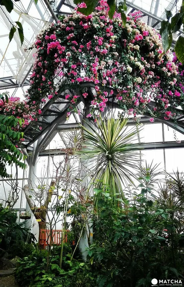 Nunobiki Herb Gardens: A Japanese Gem Hidden in The Hights of Kobe