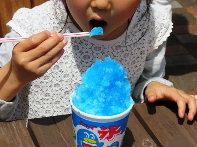 Japanese Foods To Try In The Summer