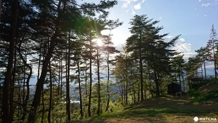 在北阿爾卑斯山下享受人生 長野松本「SALT inn」