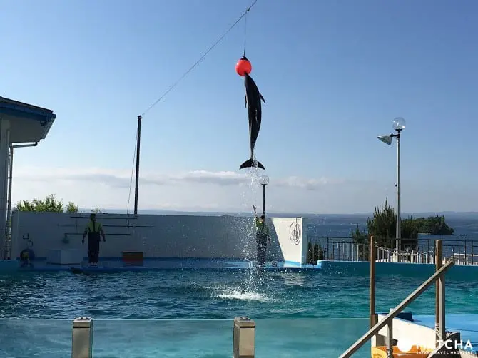 ［石川县］休闲放松好去处！能登岛景点民宿推荐