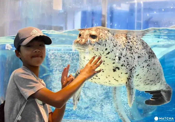 ［石川县］休闲放松好去处！能登岛景点民宿推荐