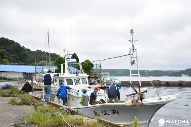 ［石川县］休闲放松好去处！能登岛景点民宿推荐