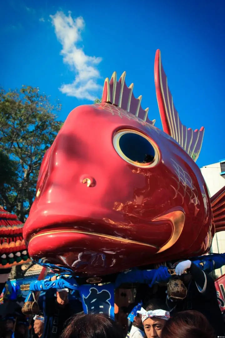 【佐贺】佐贺秋日两大盛事 热气球节与唐津宫日节