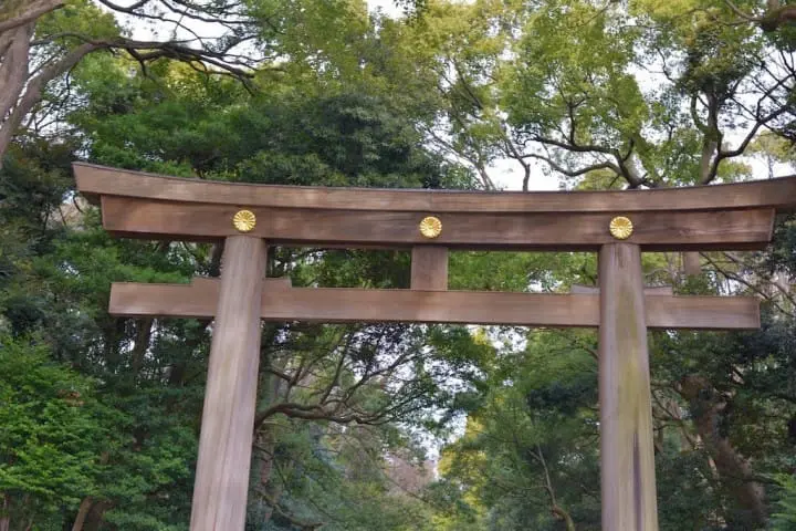 Shibuya Complete Guide: Access, Sightseeing, Hotels, Shopping and More!