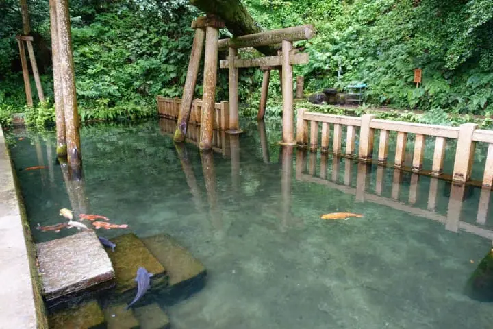 เดินทางไปกลับจากโตเกียวในวันเดียว : หย่อนใจไปกับศาลเจ้าคาชิมะจินกูและงานดอกไอริสที่อิตะโคะ