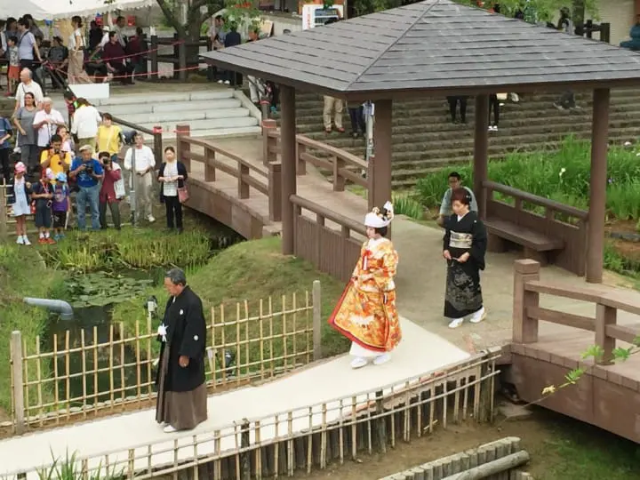 เดินทางไปกลับจากโตเกียวในวันเดียว : หย่อนใจไปกับศาลเจ้าคาชิมะจินกูและงานดอกไอริสที่อิตะโคะ