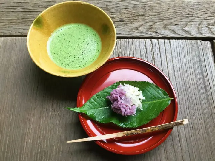 เดินทางไปกลับจากโตเกียวในวันเดียว : หย่อนใจไปกับศาลเจ้าคาชิมะจินกูและงานดอกไอริสที่อิตะโคะ