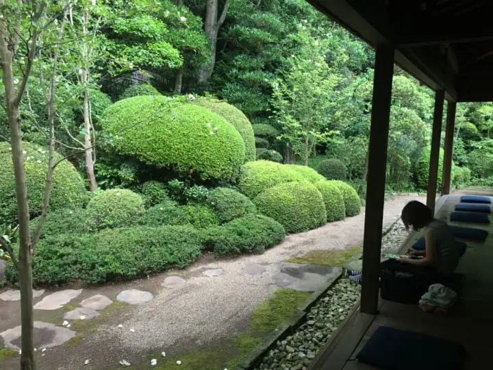 เดินทางไปกลับจากโตเกียวในวันเดียว : หย่อนใจไปกับศาลเจ้าคาชิมะจินกูและงานดอกไอริสที่อิตะโคะ