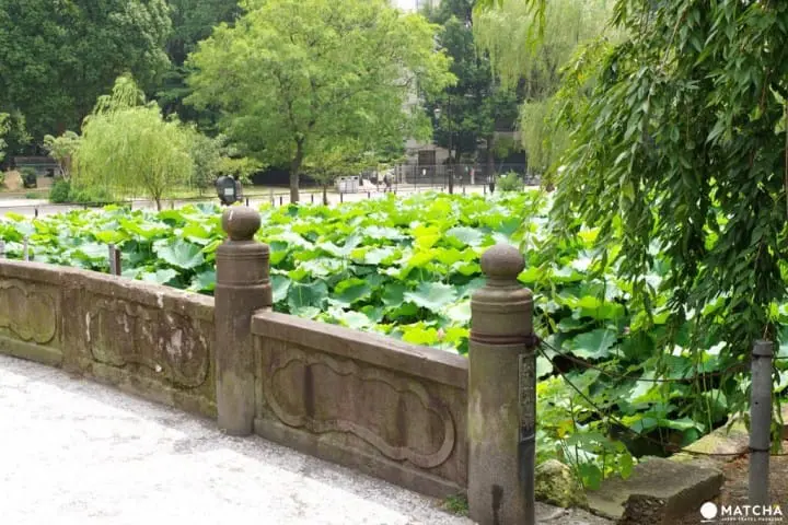 Ueno Travel Guide: Explore Arts And Culture In Tokyo's Leisure District