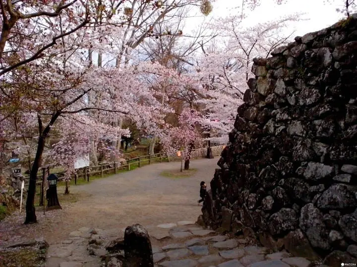 長野完全指南。精選23處觀光景點與10間滑雪場