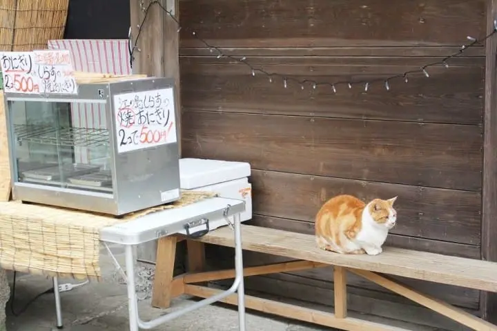 镰仓完全大指南！观光名处20选、精致的咖啡馆、地道的美食、传统的活动盛事、交通方法等等，抹茶给妳聊个够。