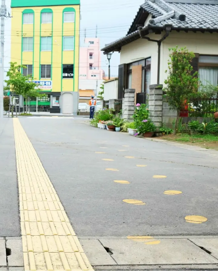 ทริปเที่ยวไปเช้าเย็นกลับจากโตเกียว - ชมเมืองซาวาระเมืองเก่าของญี่ปุ่น และ เทศกาลดอกอายาเมะที่อิตะโคะ