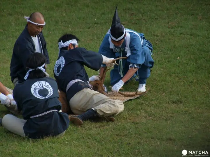 奈良縣觀光保存指南。交通方式、觀光景點到購物伴手禮，抹茶通通告訴妳