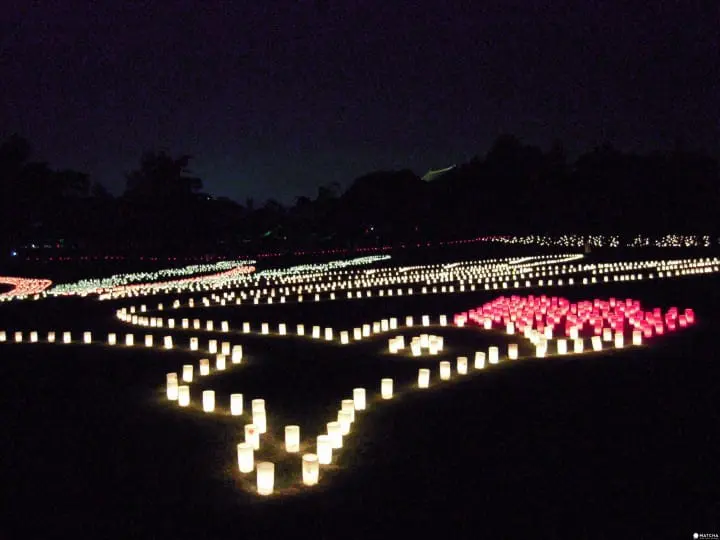 奈良縣觀光保存指南。交通方式、觀光景點到購物伴手禮，抹茶通通告訴妳