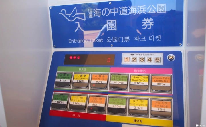 【福岡】最適合親子接近大自然、與動物零距離!徹底玩瘋!海之中道-海濱公園