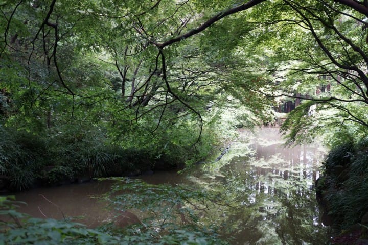 生田綠地