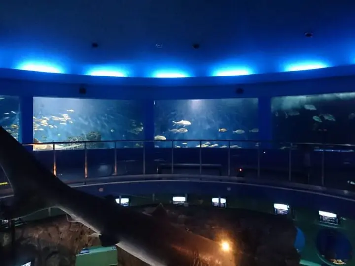 京急油壺海洋公園