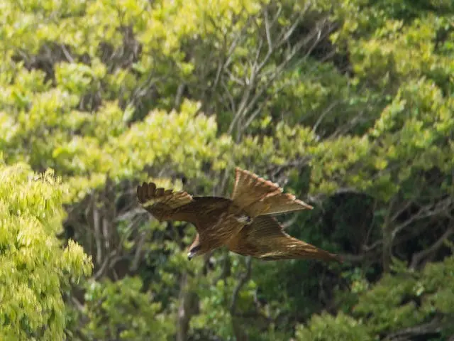 南郷上之山公園