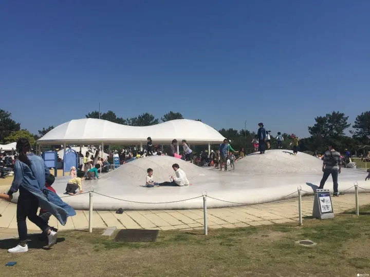 【福岡】最適合親子接近大自然、與動物零距離！徹底玩瘋！海中之道-海濱公園