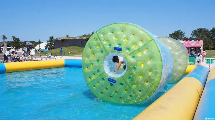 【福岡】最適合親子接近大自然、與動物零距離！徹底玩瘋！海中之道-海濱公園