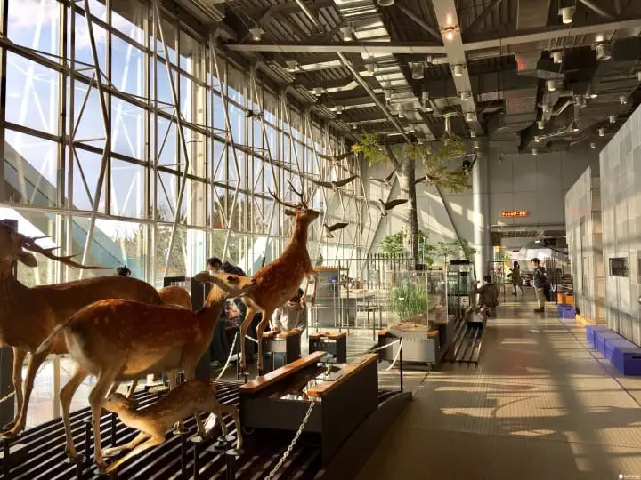 親子知性半日遊之好去處「仙台市科學館」