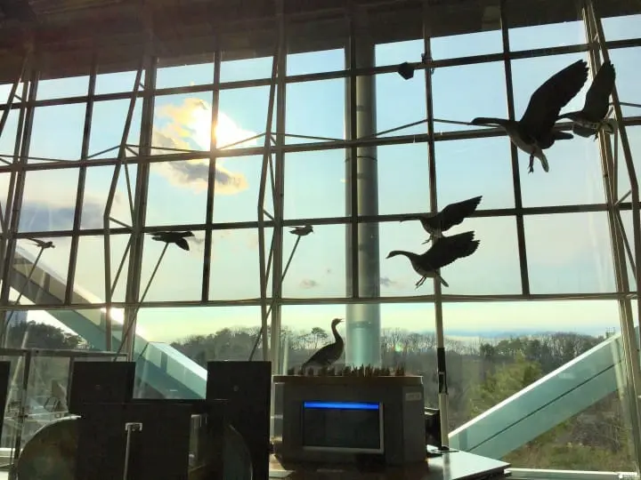 親子知性半日遊之好去處「仙台市科學館」