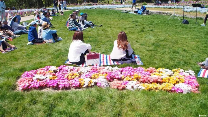 【福岡】最適合親子接近大自然、與動物零距離！徹底玩瘋！海中之道-海濱公園