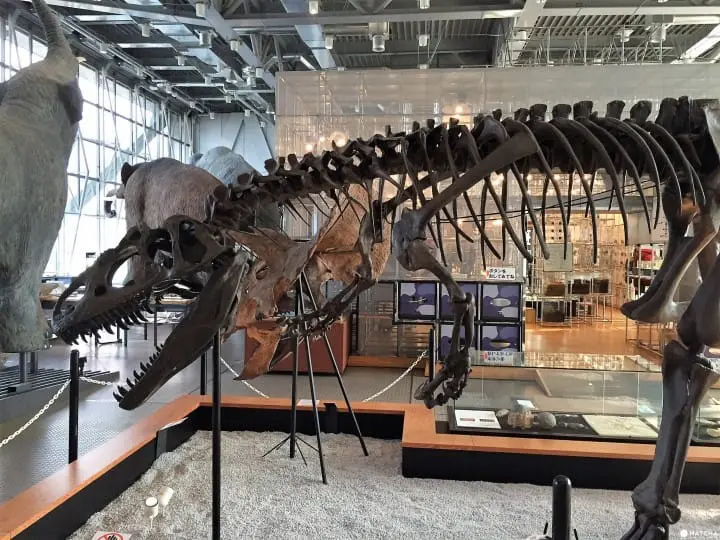 親子知性半日遊之好去處「仙台市科學館」