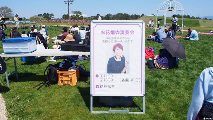 【福岡】最適合親子接近大自然、與動物零距離!徹底玩瘋!海中之道-海濱公園
