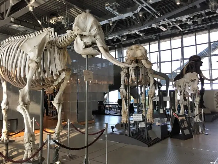 親子知性半日遊之好去處「仙台市科學館」