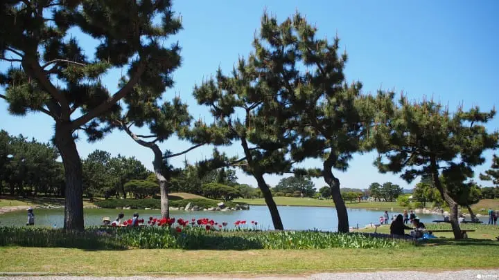 【福岡】最適合親子接近大自然、與動物零距離！徹底玩瘋！海中之道-海濱公園