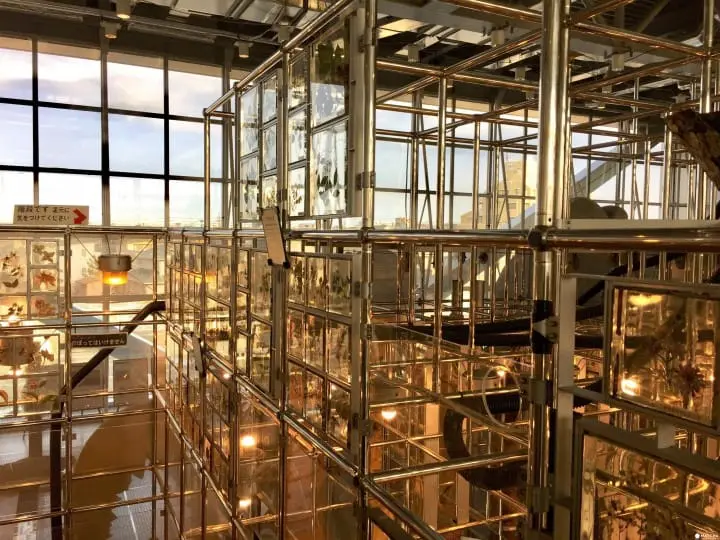 親子知性半日遊之好去處「仙台市科學館」