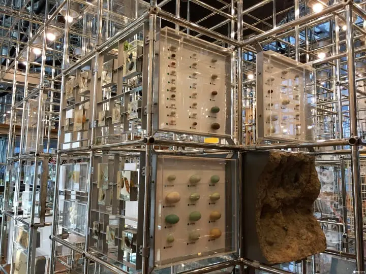 親子知性半日遊之好去處「仙台市科學館」