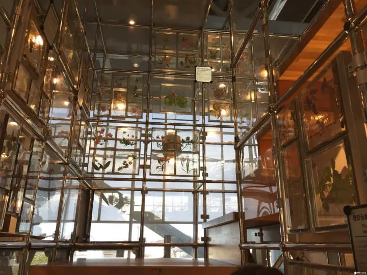 親子知性半日遊之好去處「仙台市科學館」