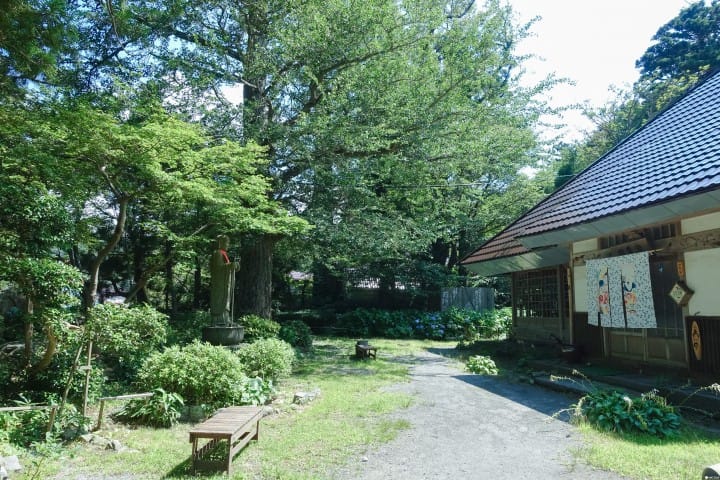 鳥取大山 三百年建築中的田舍Cafe