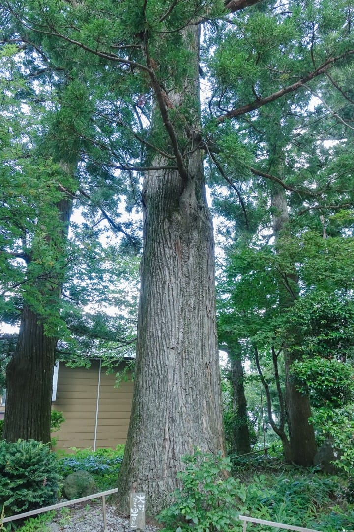 鳥取大山 三百年建築中的田舍Cafe
