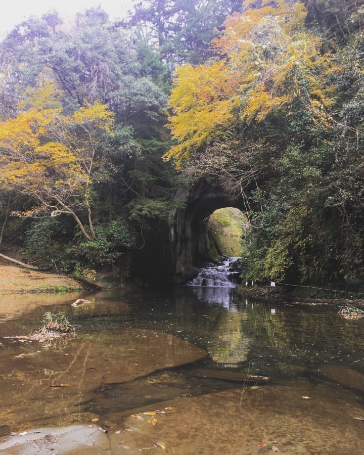 浓沟