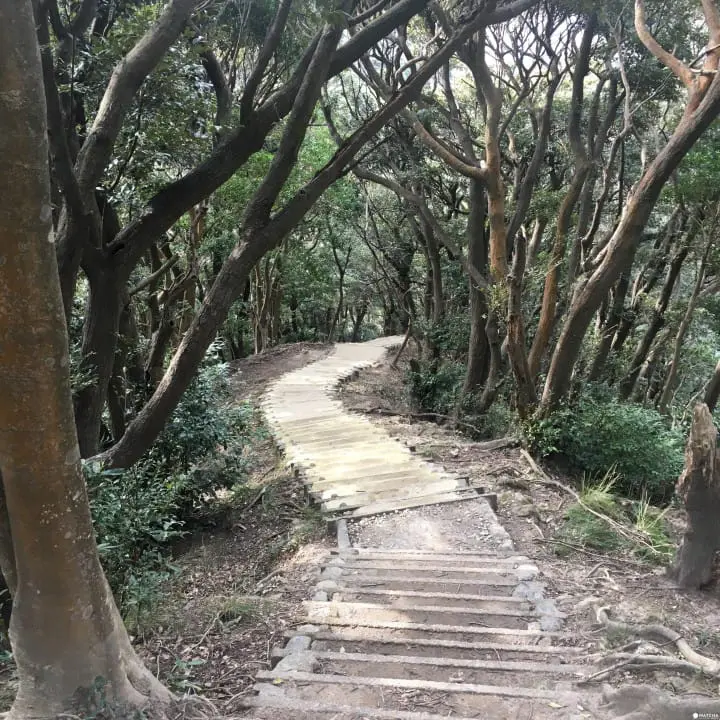 登山道