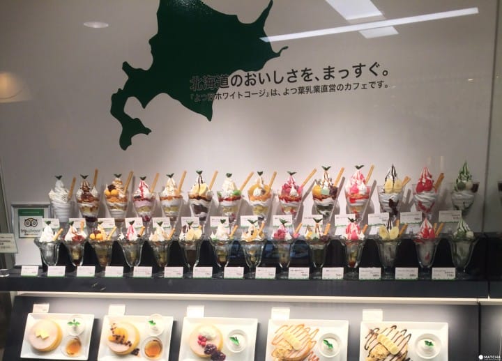 よつ葉