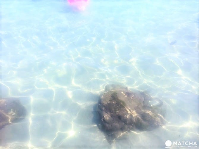 “福井”最轻松浪漫的夏日游!亚洲首个蓝旗海滩-和田海滩享受海水浴,欣赏花火大会