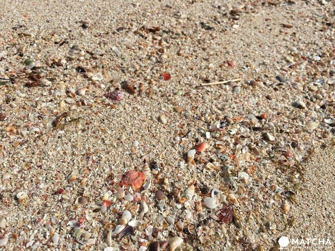 “福井”最轻松浪漫的夏日游!亚洲首个蓝旗海滩-和田海滩享受海水浴,欣赏花火大会