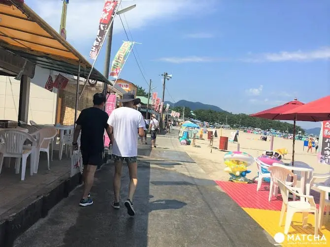 「福井」最輕鬆浪漫的夏日遊！亞洲首個藍旗海灘－和田海灘享受海水浴，欣賞花火大會