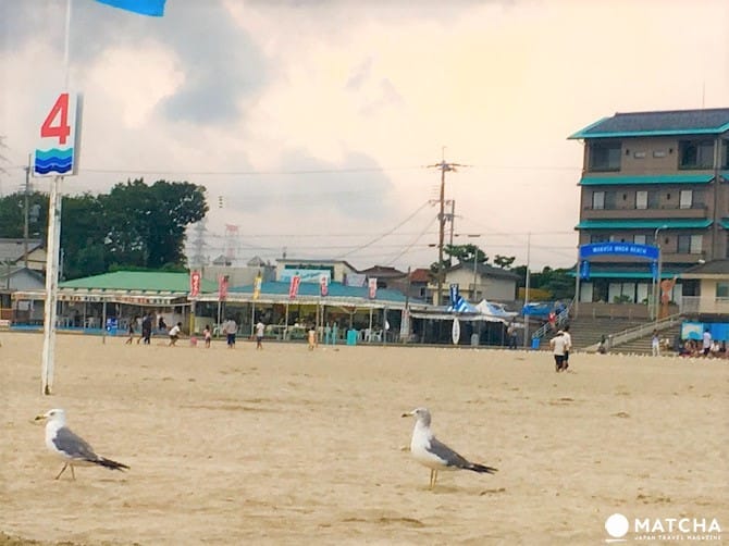 “福井”最轻松浪漫的夏日游!亚洲首个蓝旗海滩-和田海滩享受海水浴,欣赏花火大会