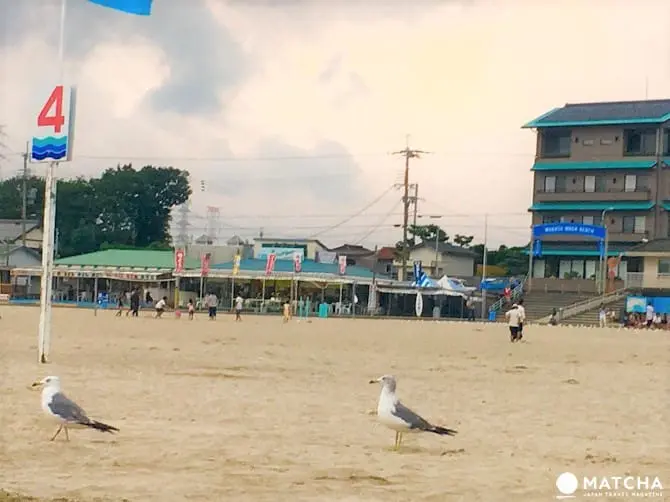 「福井」最輕鬆浪漫的夏日遊！亞洲首個藍旗海灘－和田海灘享受海水浴，欣賞花火大會