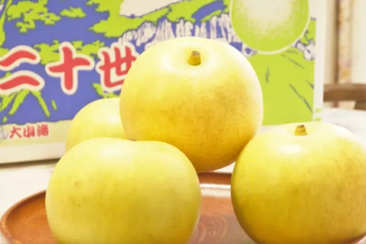 “日本最不有名的县”竟然最不容错过！鸟取县V.S.岛根县好吃好玩报给你