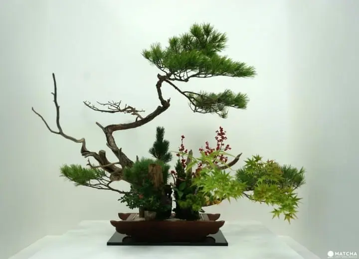 The History Of Japan Part 2: From The Heian To Sengoku Period