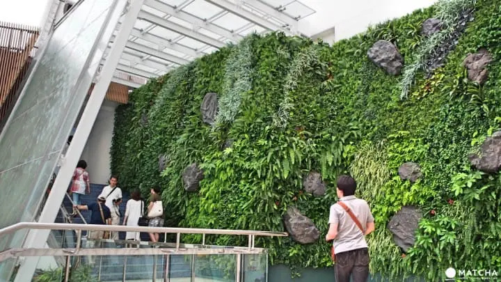 福岡海洋世界海之中道綠意