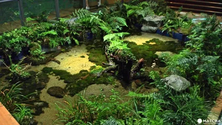 福岡海洋世界海之中道阿蘇水之森