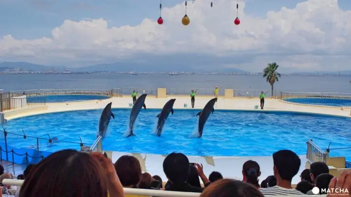 福岡海洋世界海之中道觸摸